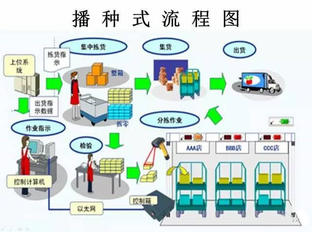 拣货作业流程图图片